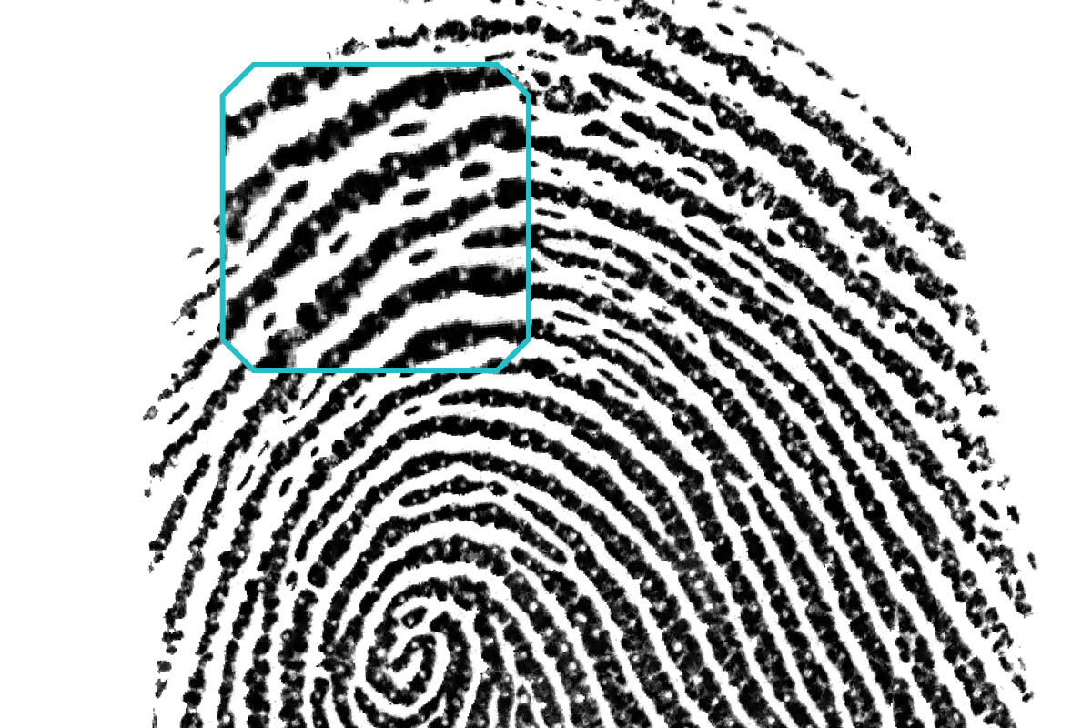 An image showing the pores in a magnified fingerprint